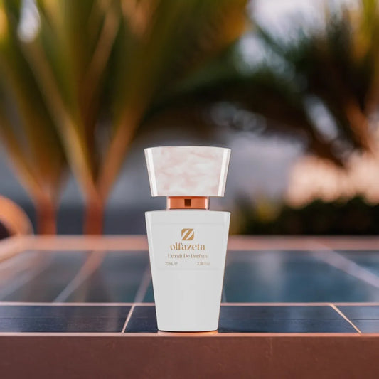 Chogan 064 - Inspired by Omnia Indian Garnet Perfume - 70 ml